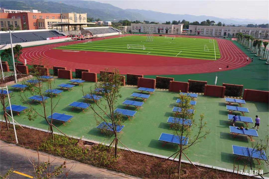 成都文理学院2024年单招考什么