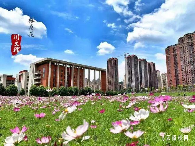 成都文理学院2024年单招考什么