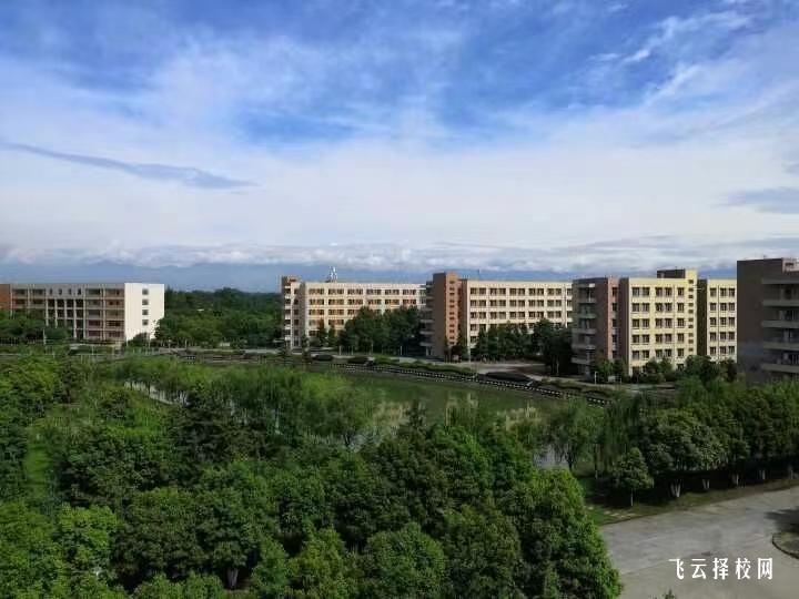 四川铁道职业学院2024年单招考什么