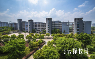 重庆城市管理职业学院2024年单招考什么