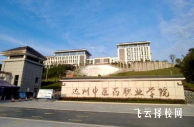 达州中医药职业学院2024单招招生计划