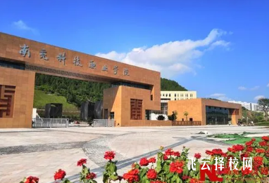 南充科技职业学院2024单招招生计划