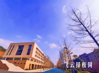 南充科技职业学院2024单招怎么报名