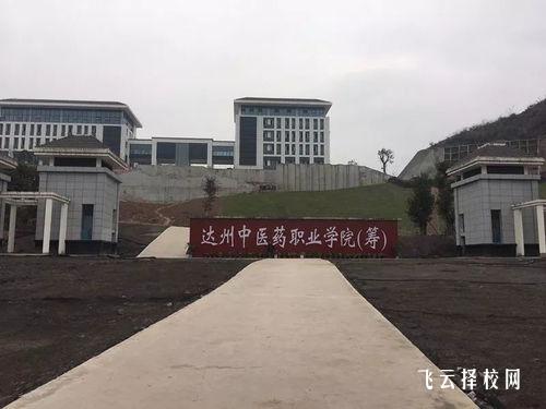 达州中医药职业学院2024单招是面试还是笔试