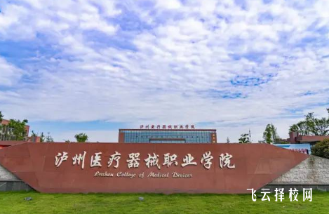 泸州医疗器械职业学院2024单招是面试还是笔试