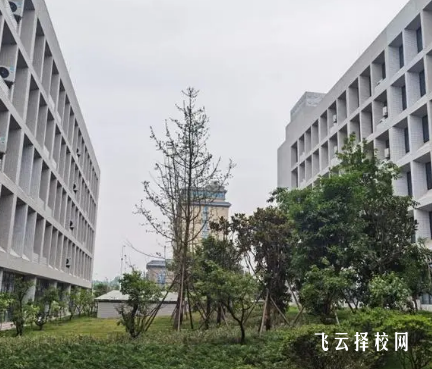 内江卫生与健康职业学院怎么查单招成绩