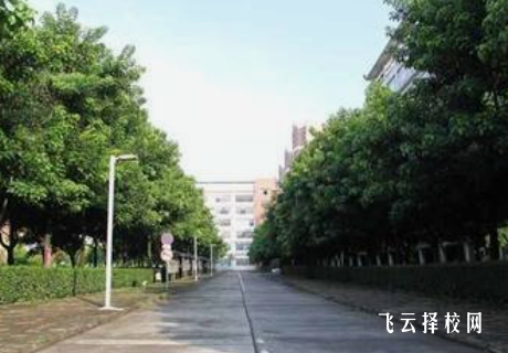 四川省南充中等专业学校2024报名条件