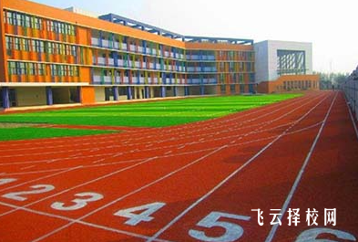 成都市体育运动学校2024热选专业