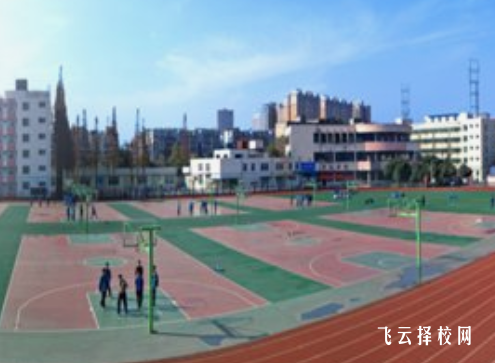 四川交通技师学院2024招生简章