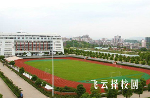 巴中市化成职业中学校是公办还是私立