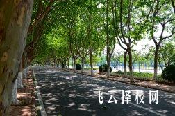 四川安岳县职教中心是公办吗