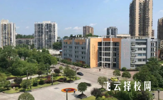 彭州宏德学校升学率高吗,怎么进