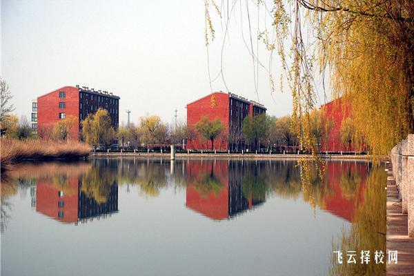 单招报名什么时候选学校