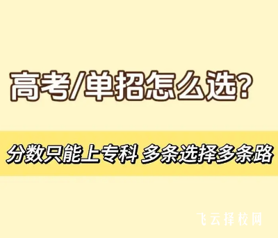 单招和统招含金量一样吗