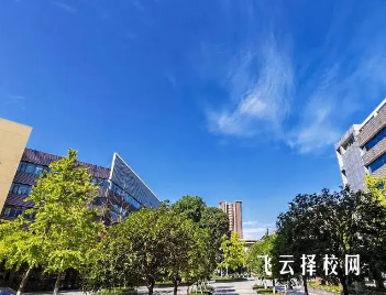 成都职业技术学院2025年开设专业