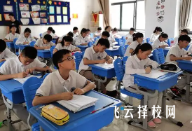 13岁男孩上什么职业学校比较好