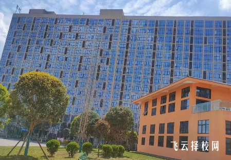 南充电影工业职业学院2024招生计划