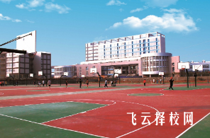 四川华新现代职业学院2025年招生简章