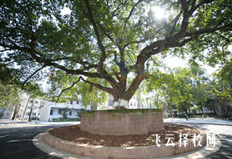 四川省阆中师范学校2025年招生简章