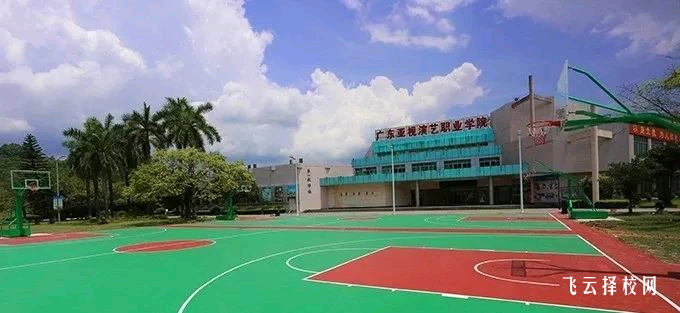 成都明阳单招培训学校有几个校区