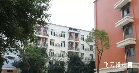 成都铁路卫生学校的护理与医疗专业就业前景