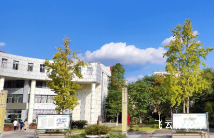 四川幼儿师范高专2025单招录取分数线
