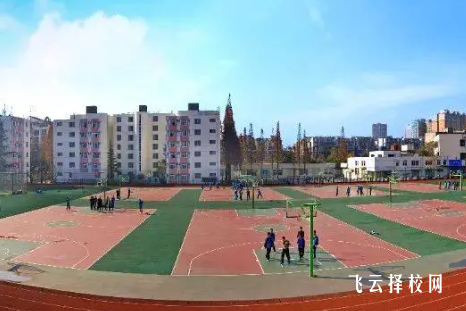 学技术哪家强？四川省工业贸易学校与交通运输学校对比