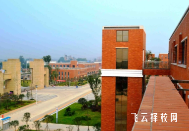 金堂职高有哪些升学渠道？对口高考本科上线率调查