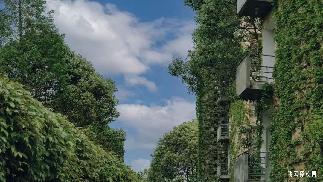 四川国际标榜职业学院2024单招招生计划