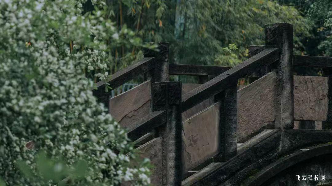 四川国际标榜职业学院2024单招招生计划