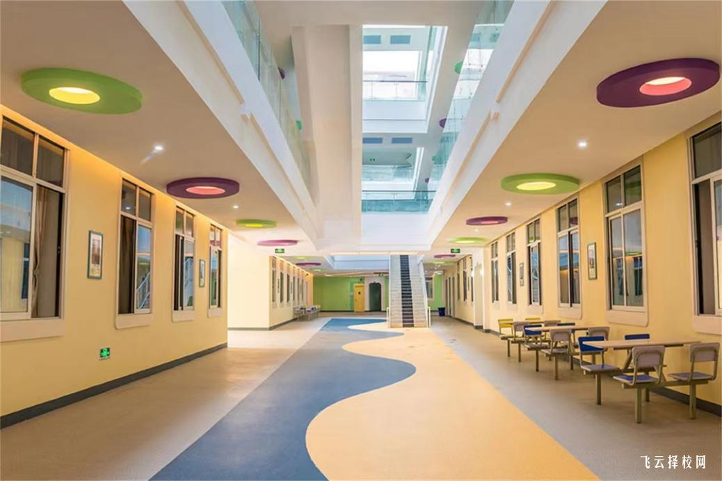 四川科技职业学院2024单招招生计划