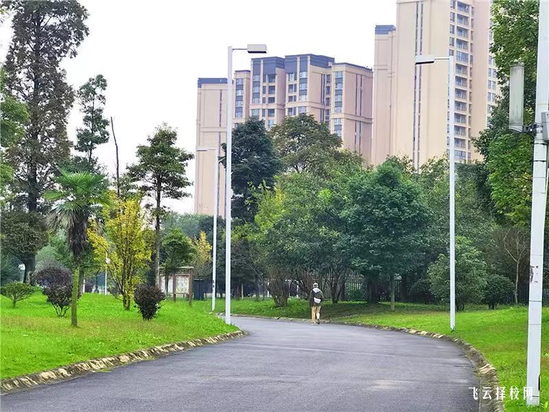 四川艺术职业学院2024单招招生计划