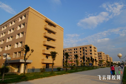 南充职业技术学院2024单招是面试还是笔试