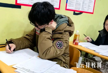 单招培训效果如何,名校名师亲授方法