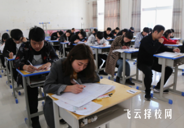 单招资料免费领,语数外高频考点汇总