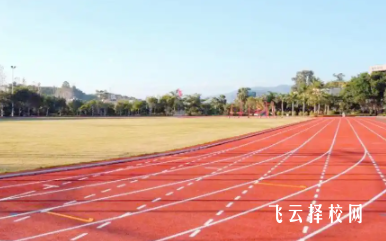 四川单招培训费用多少,性价比方案解析