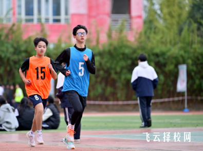 聚焦新津职高：乘务、电商等特色专业为何受企业追捧