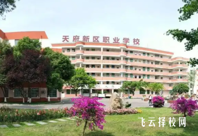 四川天府新区职业学校有何优势？新区发展与就业资源解读