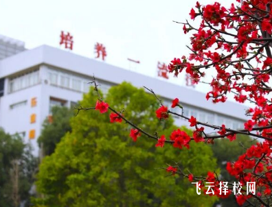 自贡职业技术学校的综合实力强吗？